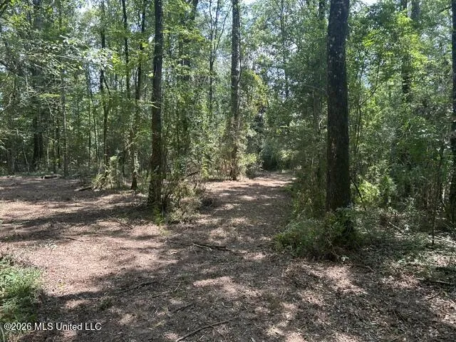 404 Liberty Street Osyka, MS 39657