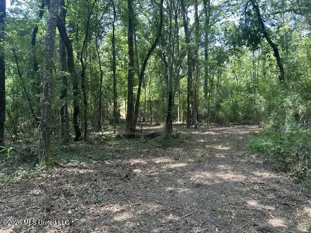 404 Liberty Street Osyka, MS 39657