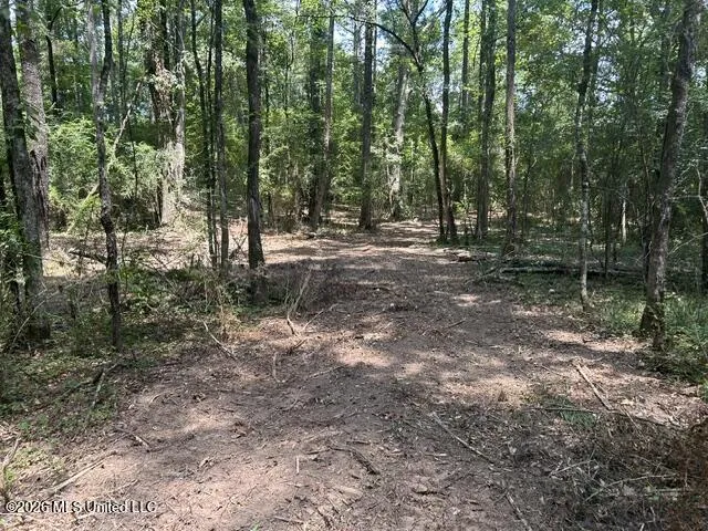 404 Liberty Street Osyka, MS 39657
