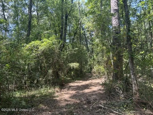 404 Liberty Street Osyka, MS 39657
