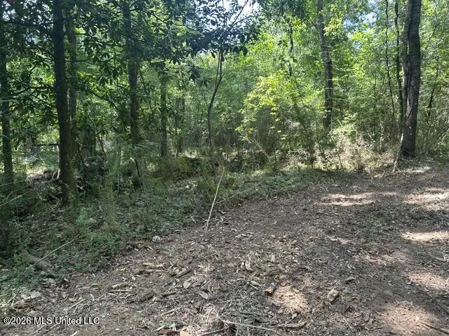 404 Liberty Street Osyka, MS 39657