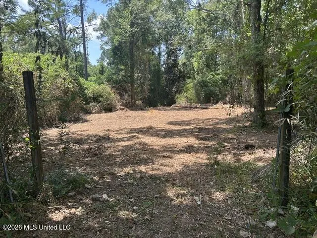 404 Liberty Street Osyka, MS 39657