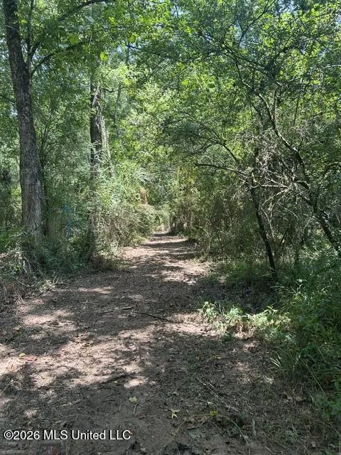 404 Liberty Street Osyka, MS 39657