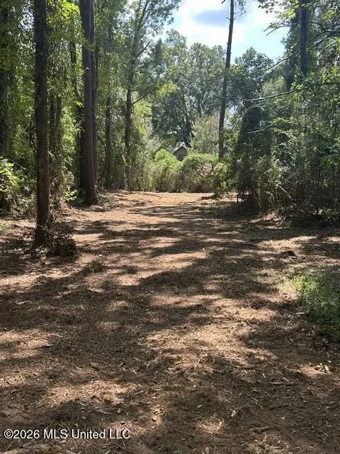 404 Liberty Street Osyka, MS 39657