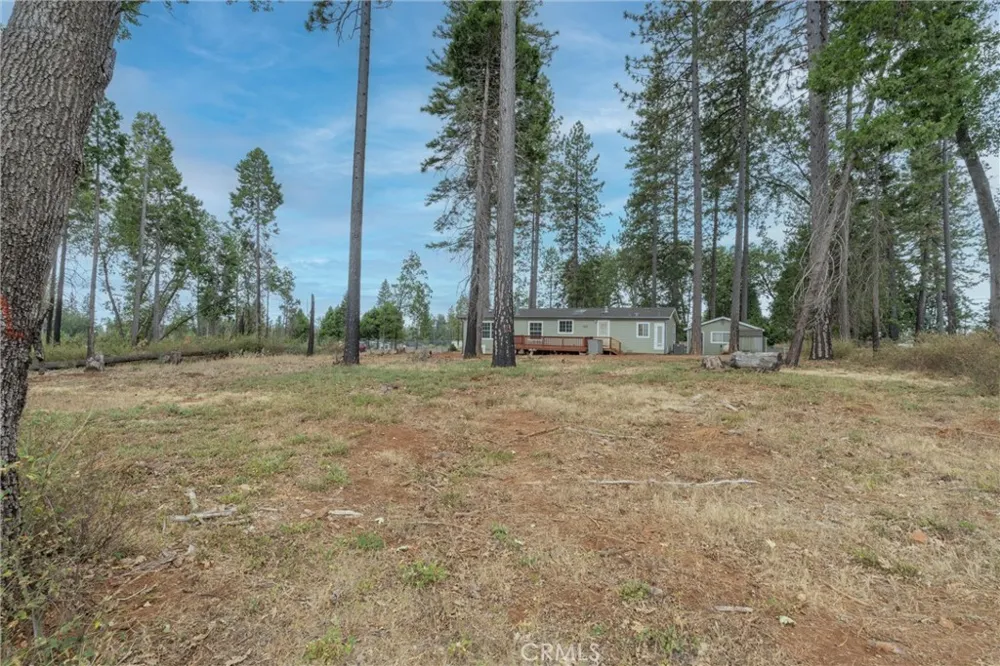 14296 Skyway Magalia, CA 95954