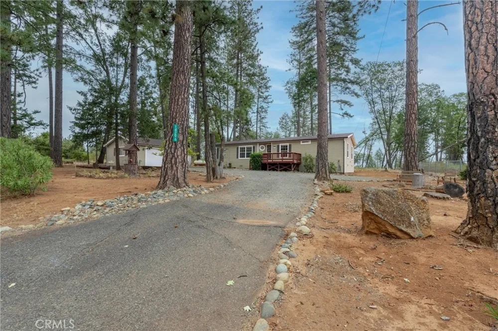 14296 Skyway Magalia, CA 95954