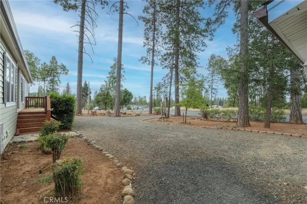14296 Skyway Magalia, CA 95954