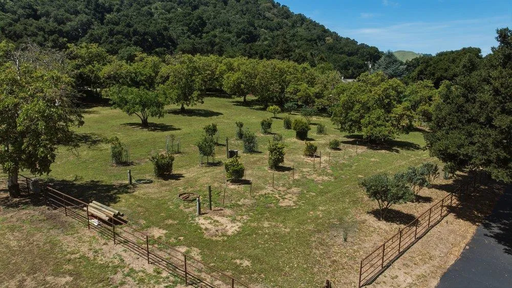 2555 San Juan Canyon Road San Juan Bautista, CA 95045