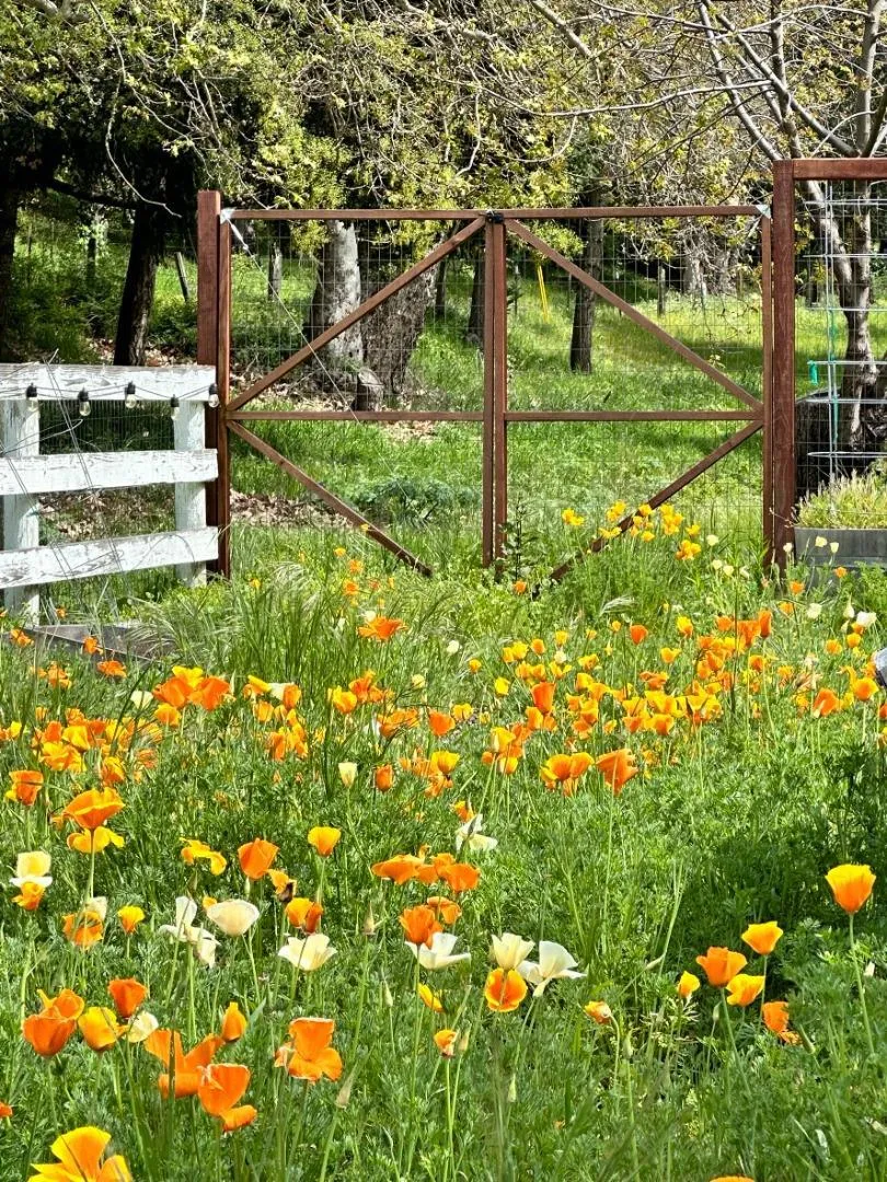 2555 San Juan Canyon Road San Juan Bautista, CA 95045