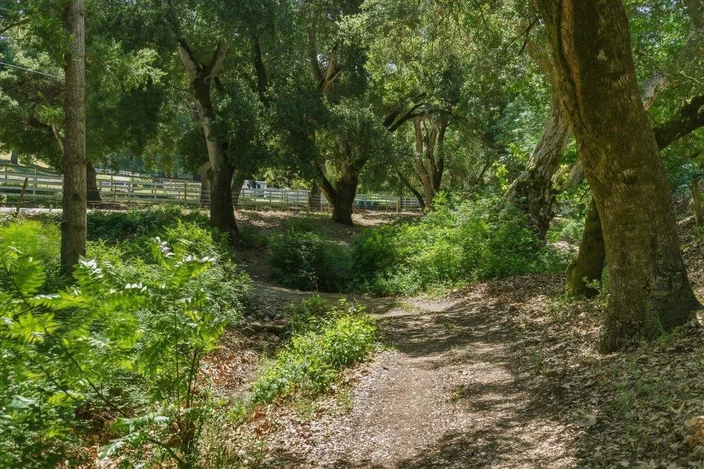 2555 San Juan Canyon Road San Juan Bautista, CA 95045