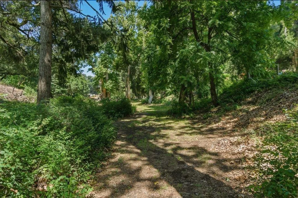 2555 San Juan Canyon Road San Juan Bautista, CA 95045