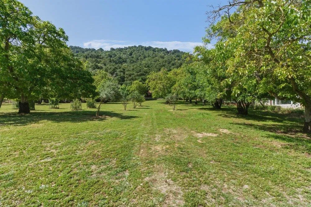 2555 San Juan Canyon Road San Juan Bautista, CA 95045