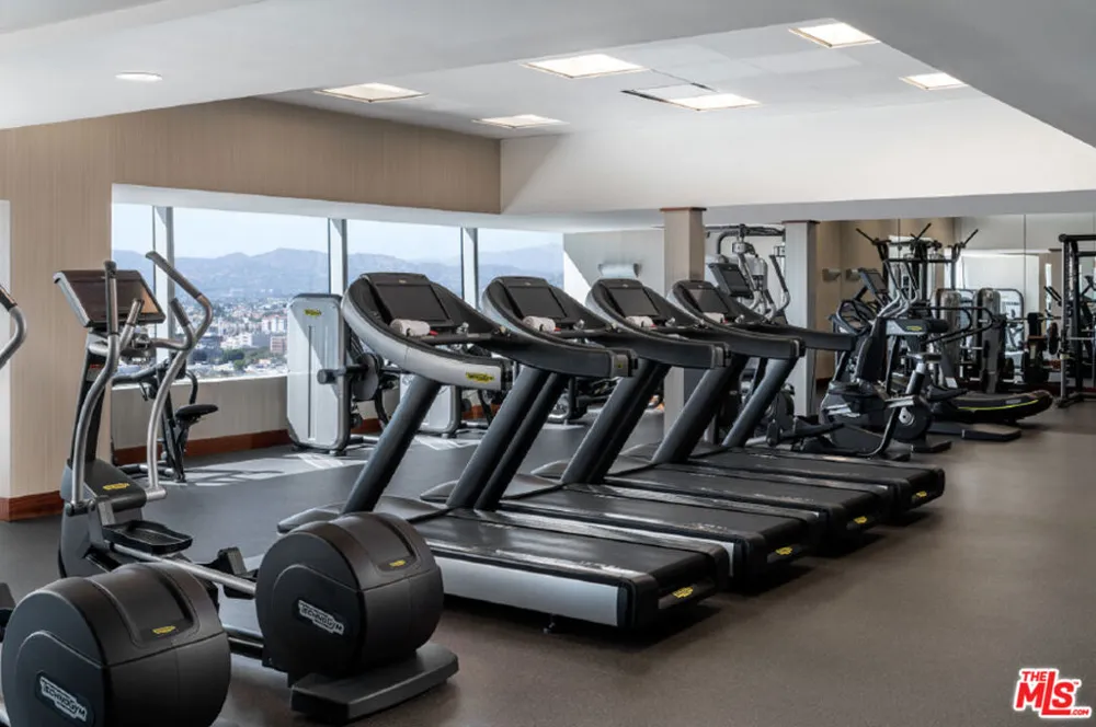 900 W Olympic Boulevard #38F Los Angeles, CA 90015