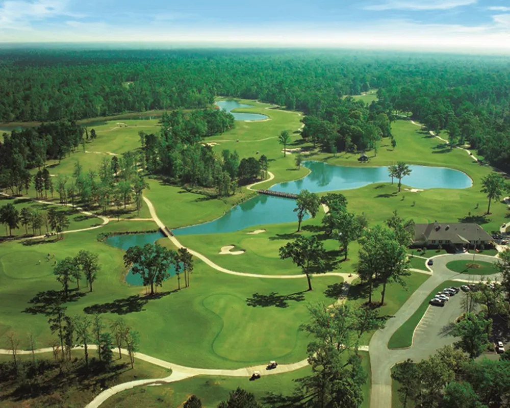 125 Cypress Pond Place Montgomery, TX 77316