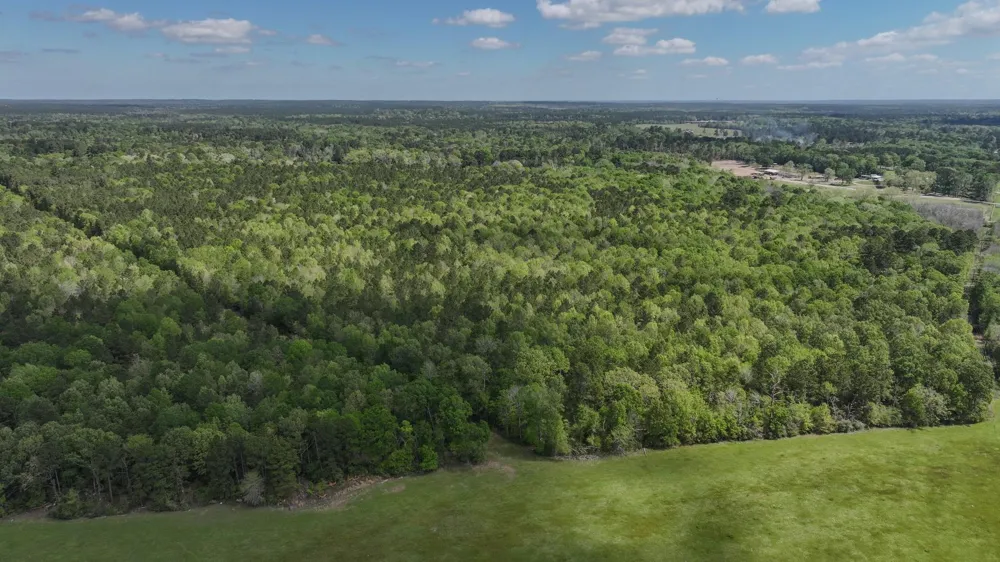 Fm 2457 Livingston, TX 77351