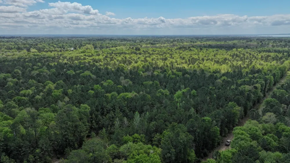 Fm 2457 Livingston, TX 77351