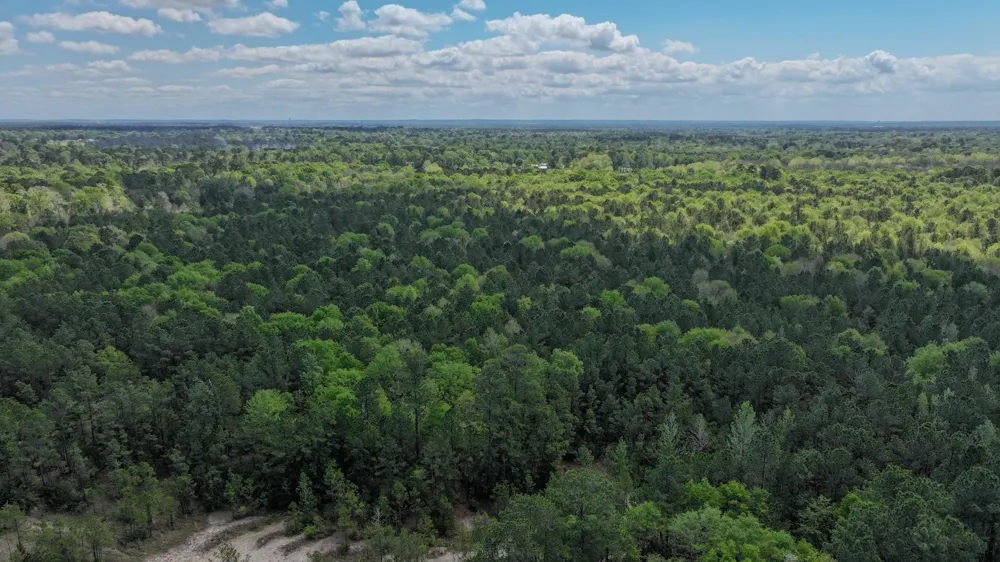 Fm 2457 Livingston, TX 77351