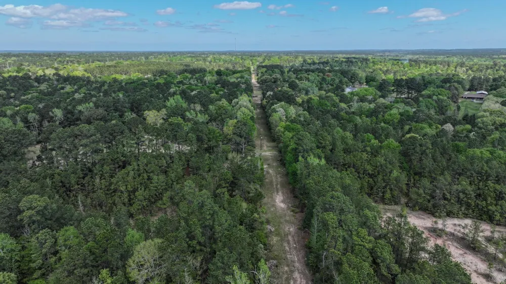Fm 2457 Livingston, TX 77351