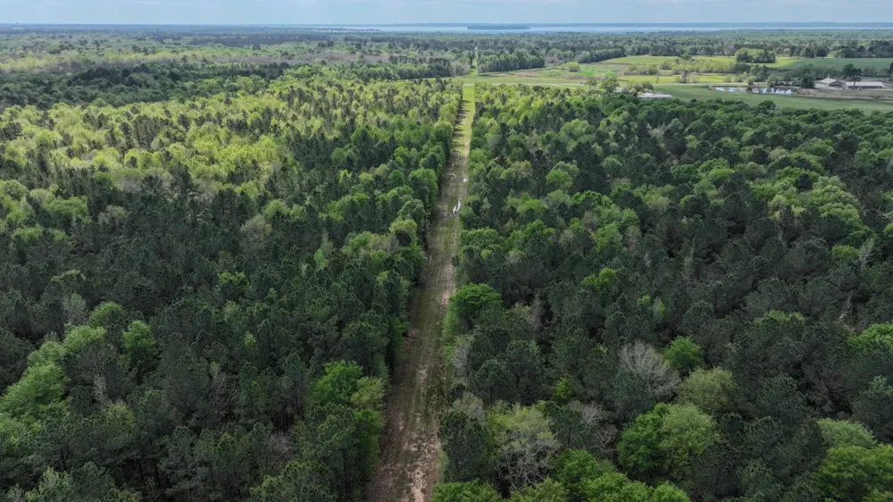 Fm 2457 Livingston, TX 77351