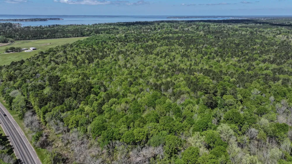 Fm 2457 Livingston, TX 77351