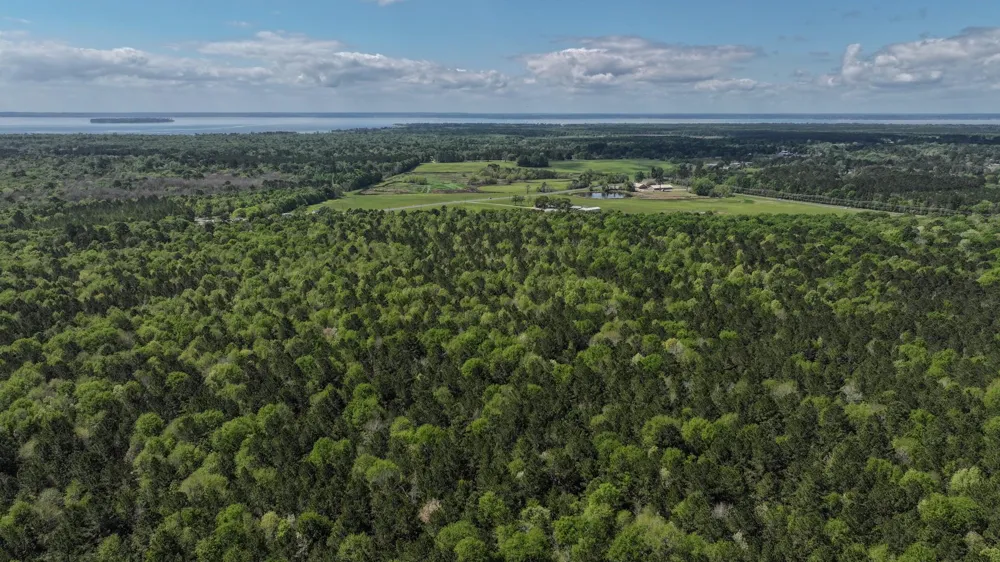 Fm 2457 Livingston, TX 77351