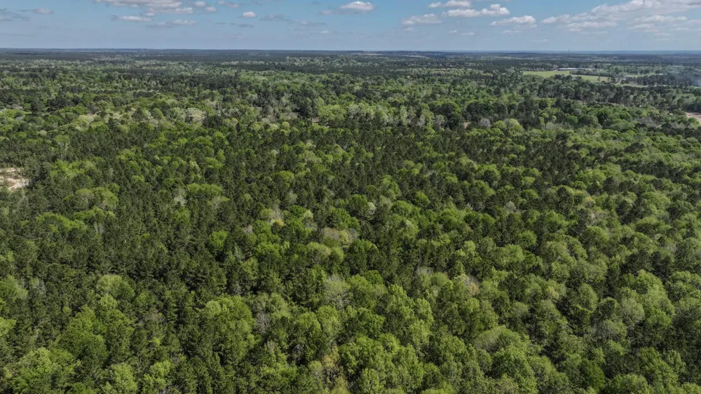 Fm 2457 Livingston, TX 77351