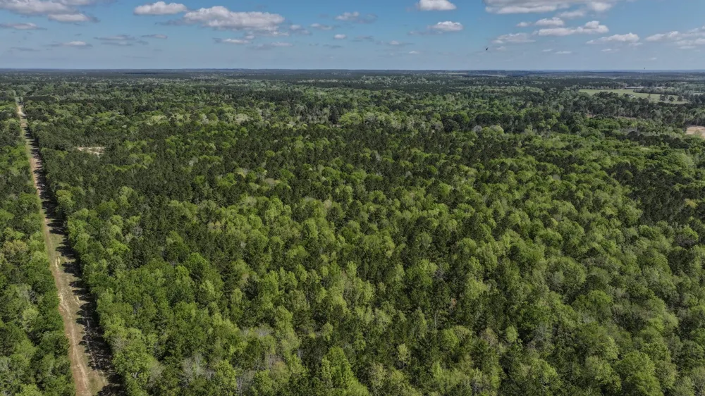 Fm 2457 Livingston, TX 77351
