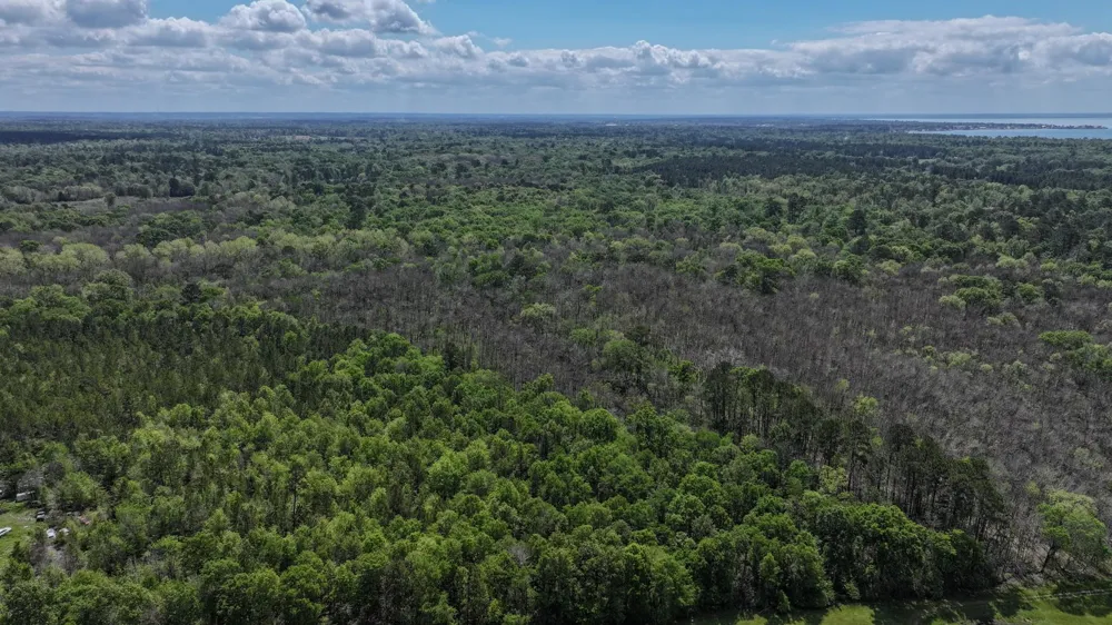 Fm 2457 Livingston, TX 77351