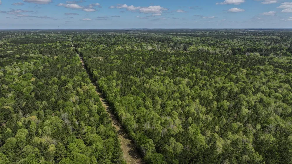 Fm 2457 Livingston, TX 77351