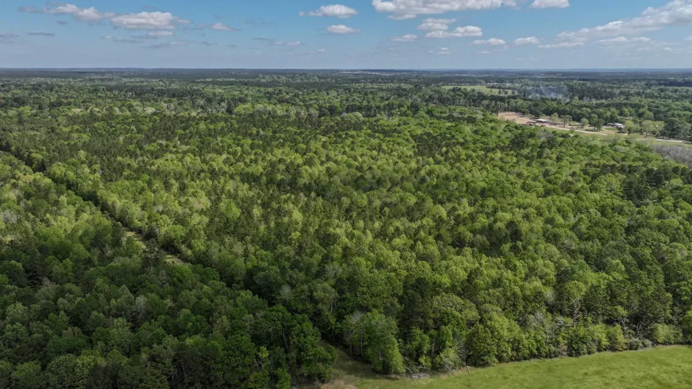 Fm 2457 Livingston, TX 77351
