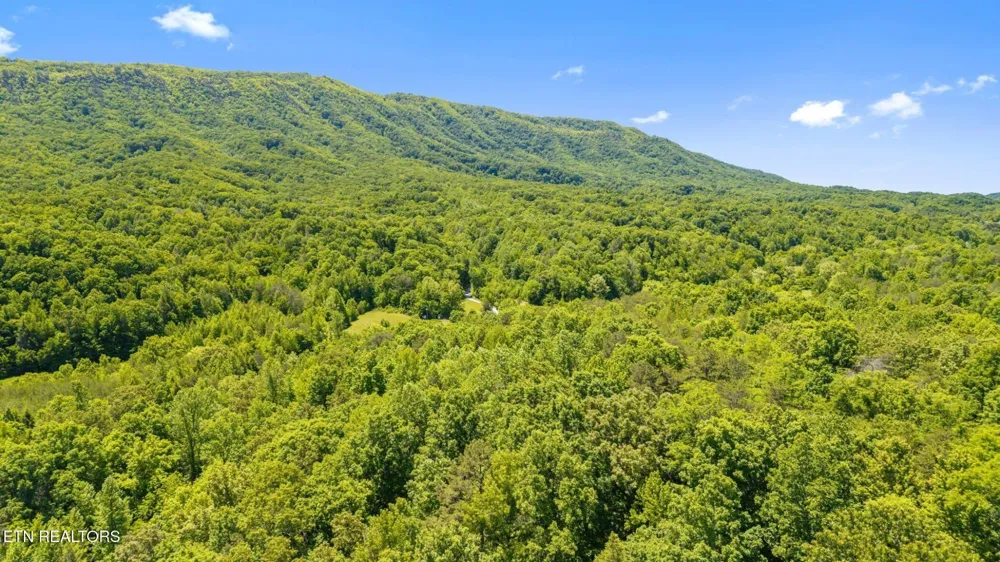 0 Old Chilhowee Rd Seymour, TN 37865