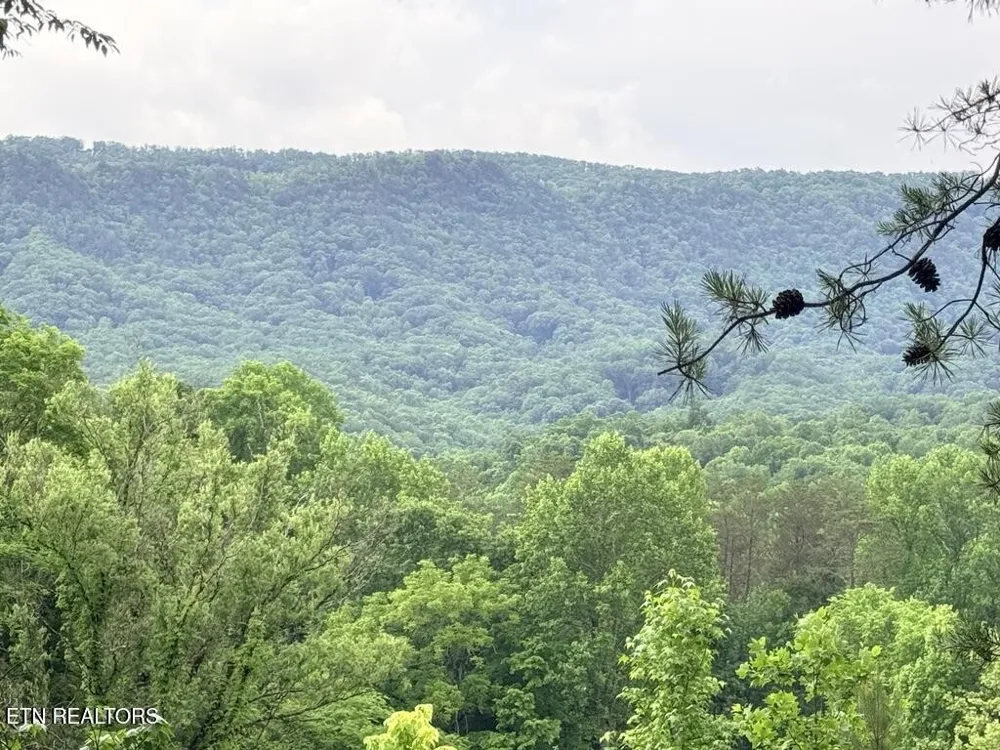 0 Old Chilhowee Rd Seymour, TN 37865