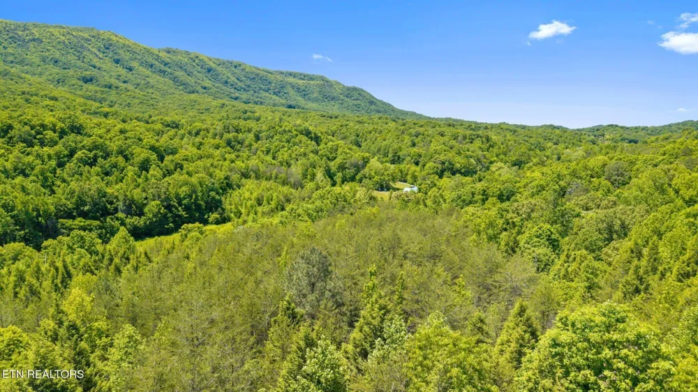 0 Old Chilhowee Rd Seymour, TN 37865