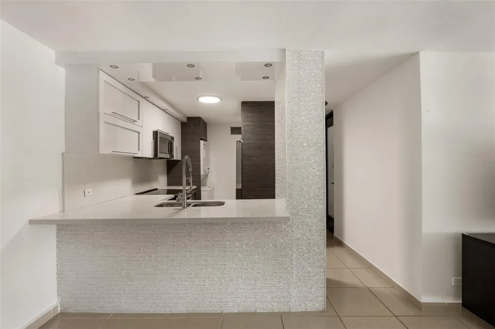 7 AVENIDA LAGUNA #2H Carolina, PR 00979
