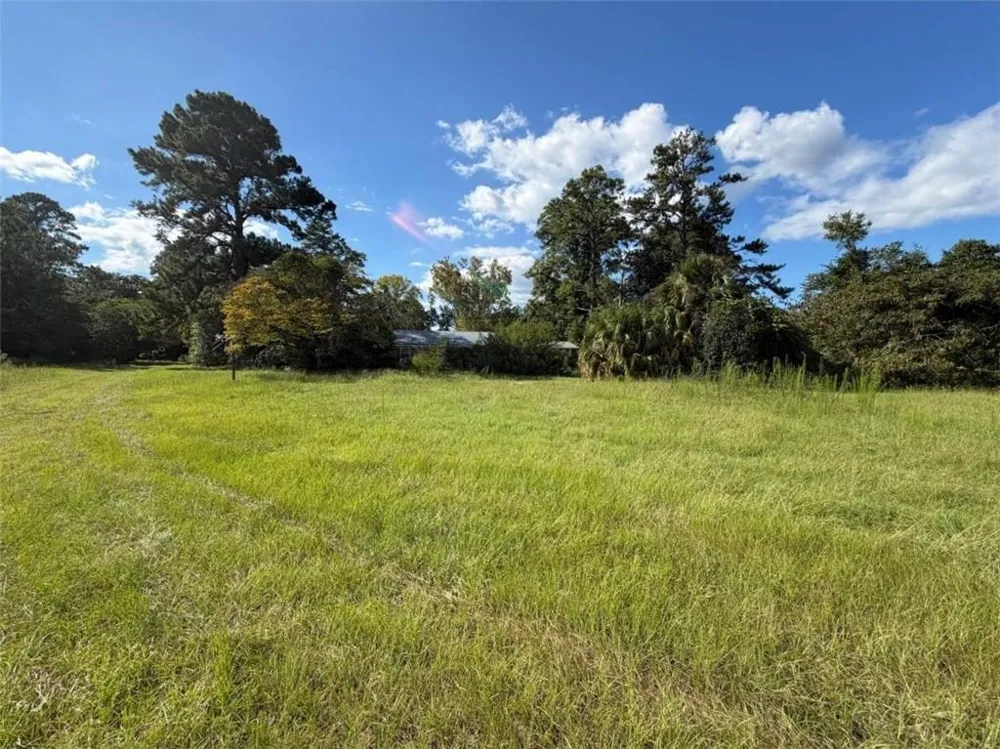 125 Lee Avenue Brooklet, GA 30415