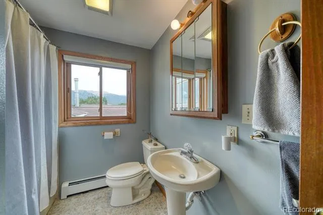 31390 County Road 384 B Buena Vista, CO 81211