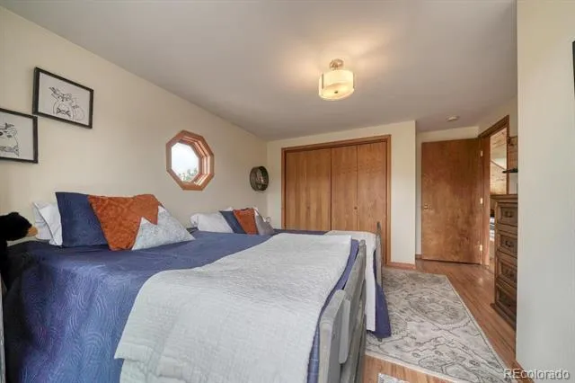 31390 County Road 384 B Buena Vista, CO 81211