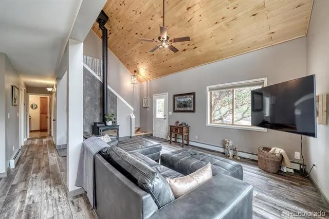 31390 County Road 384 B Buena Vista, CO 81211