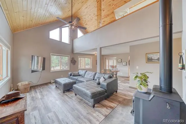 31390 County Road 384 B Buena Vista, CO 81211