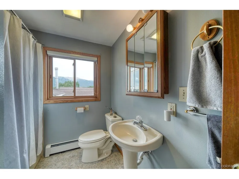 31390 County Road 384 B Buena Vista, CO 81211