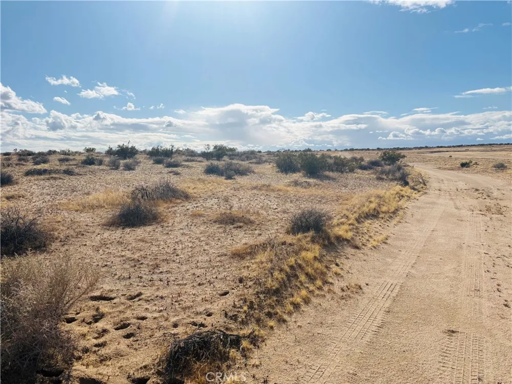 10 Timlin Way California City, CA 93505