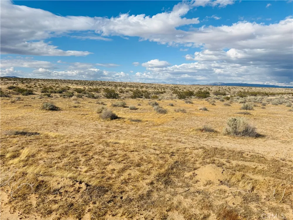 10 Timlin Way California City, CA 93505