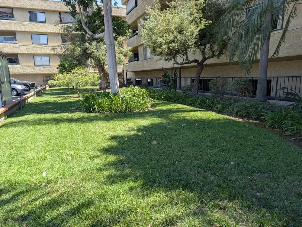 12635 Main #221 Garden Grove, CA 92840
