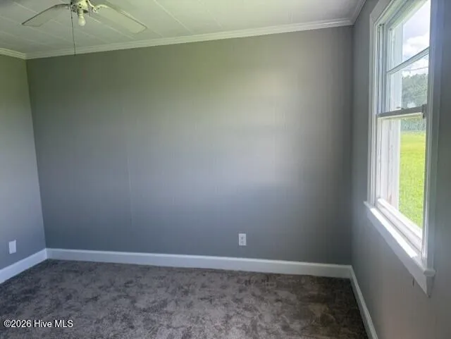 8714 Tyson Farm Road Stantonsburg, NC 27883