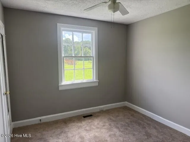 8714 Tyson Farm Road Stantonsburg, NC 27883