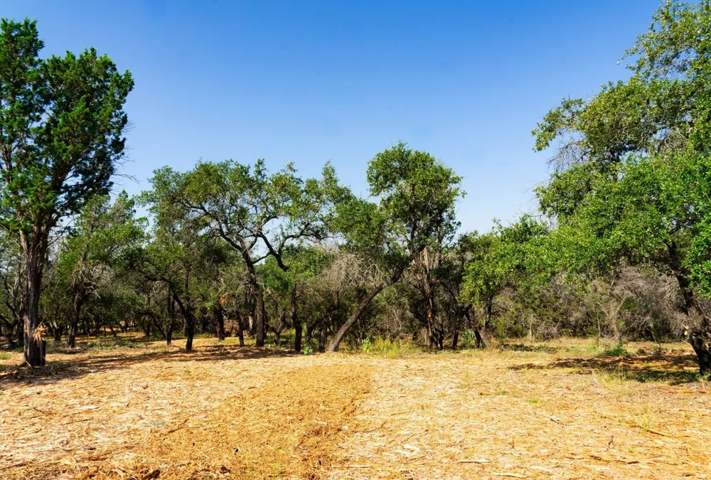 Old Ferry Road Spicewood, TX 78669