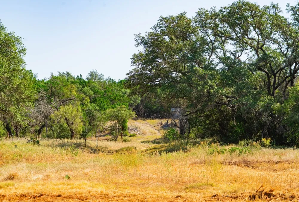 Old Ferry Road Spicewood, TX 78669