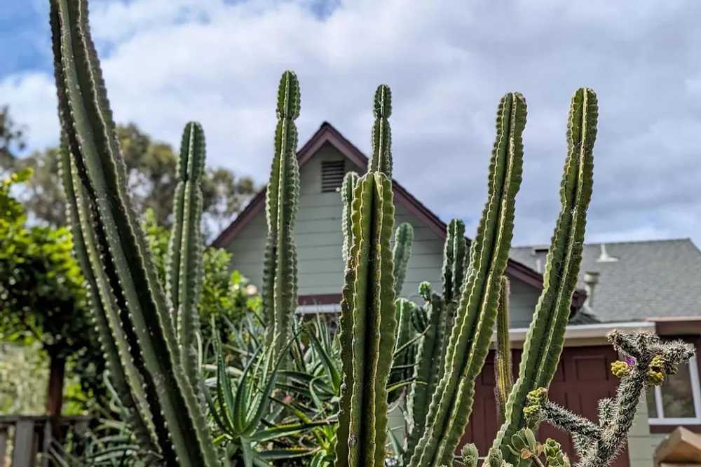 232 Highland Terrace Woodside, CA 94062