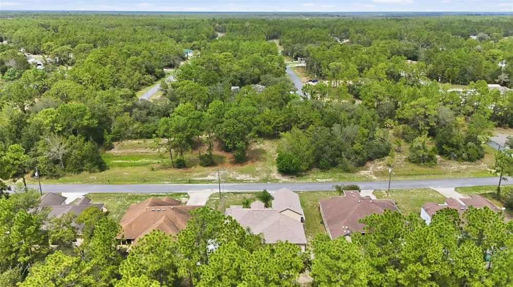 9269 SAPONARIA DRIVE Citrus Springs, FL 34433