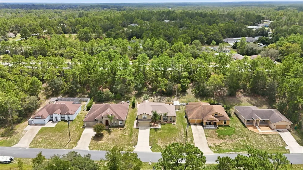 9269 SAPONARIA DRIVE Citrus Springs, FL 34433